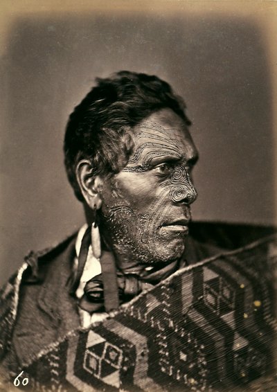 Portrait of a Maori with a tattooed face, c.1886-88 by New Zealand Photographer